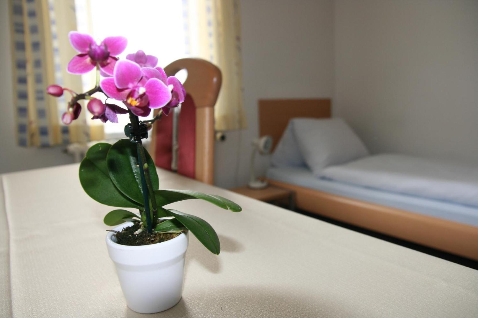 Hotel Glaernisch Hof Horgen Luaran gambar