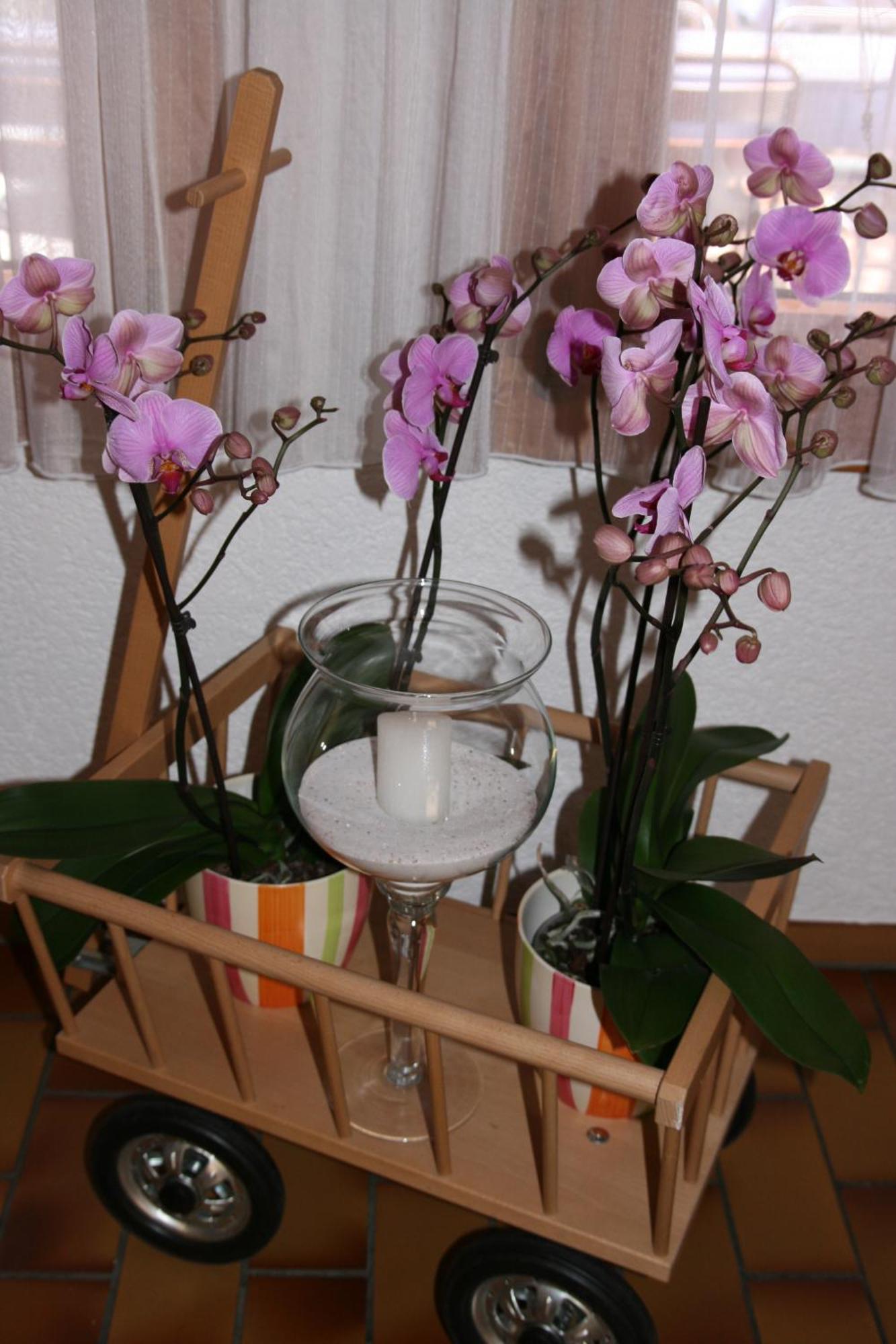 Hotel Glaernisch Hof Horgen Luaran gambar